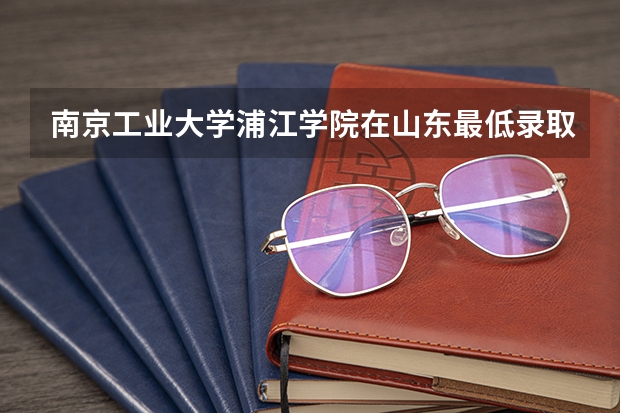 南京工业大学浦江学院在山东最低录取分数参考