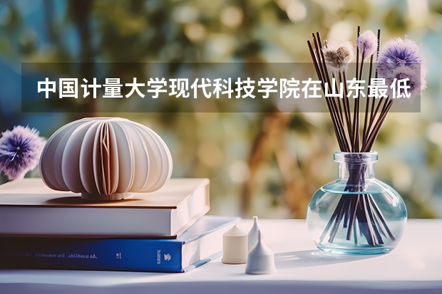 中国计量大学现代科技学院在山东最低录取分数参考
