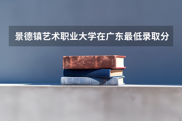 景德镇艺术职业大学在广东最低录取分数参考