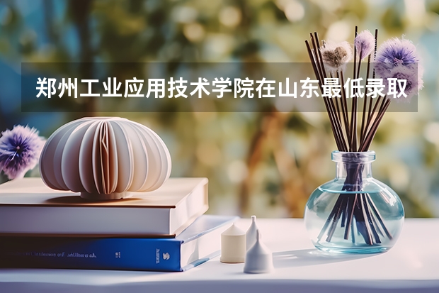郑州工业应用技术学院在山东最低录取分数参考