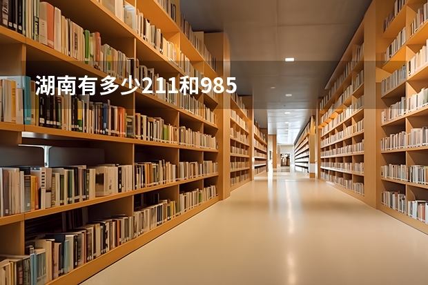 湖南有多少211和985