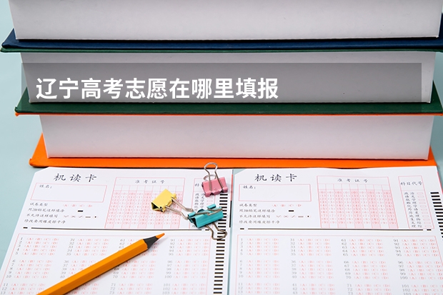 辽宁高考志愿在哪里填报