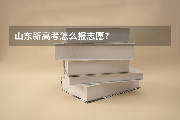 山东新高考怎么报志愿？