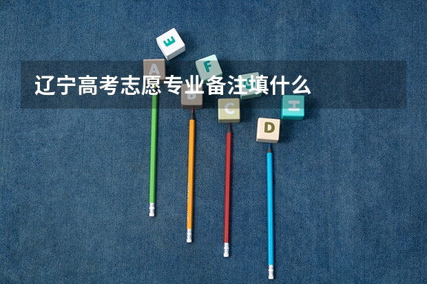 辽宁高考志愿专业备注填什么