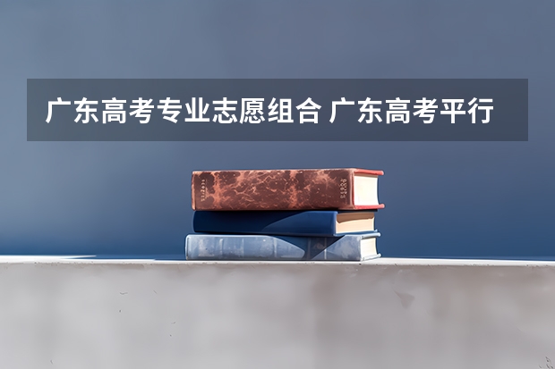 广东高考专业志愿组合 广东高考平行志愿设置包含几个平行院校？