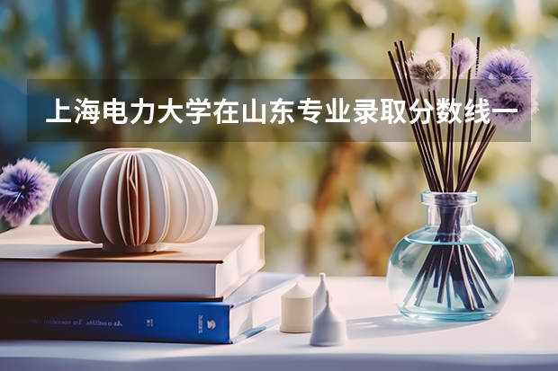 上海电力大学在山东专业录取分数线一览