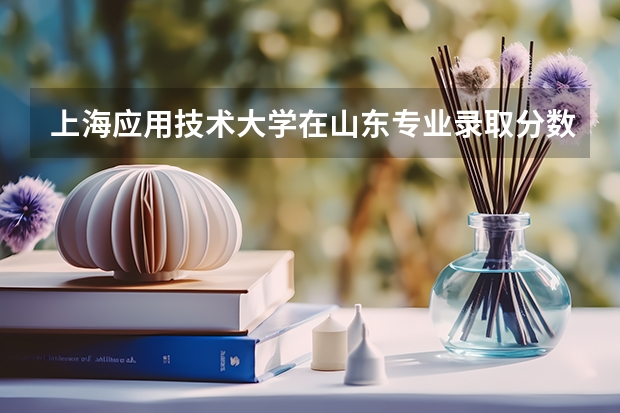 上海应用技术大学在山东专业录取分数线一览