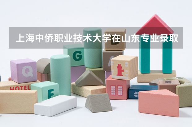上海中侨职业技术大学在山东专业录取分数线一览