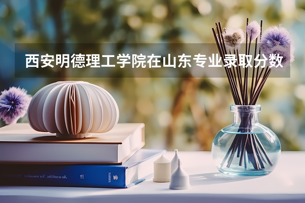 西安明德理工学院在山东专业录取分数线一览