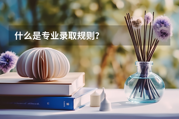 什么是专业录取规则？