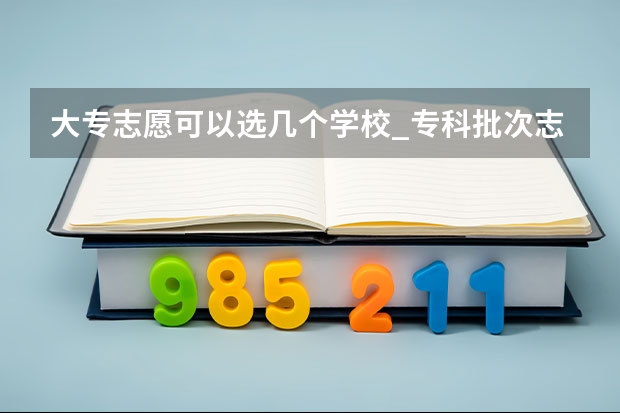 大专志愿可以选几个学校_专科批次志愿填报技巧（专科可以报几个志愿）