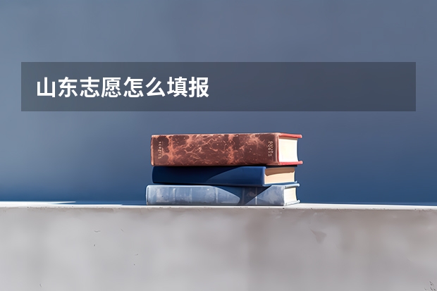 山东志愿怎么填报