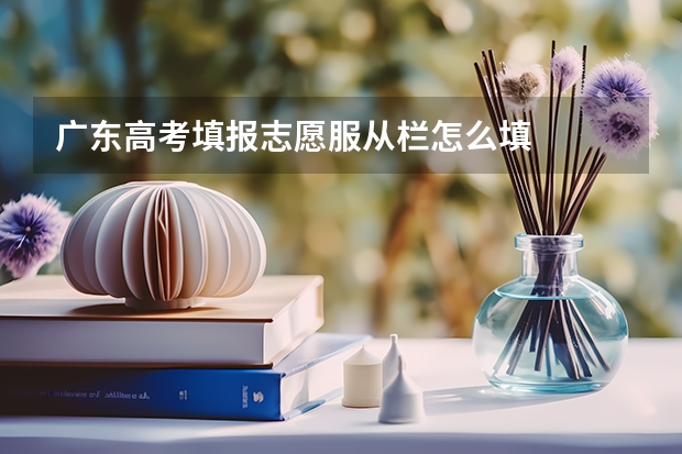 广东高考填报志愿服从栏怎么填