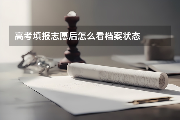 高考填报志愿后怎么看档案状态