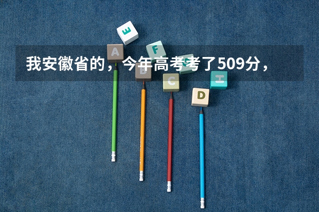 我安徽省的，今年高考考了509分，我是文科生，比二本线高8分，请问我能在安徽省内上哪些比较好的学校？