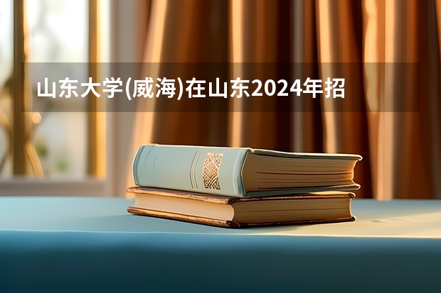 山东大学(威海)在山东2024年招生计划如何