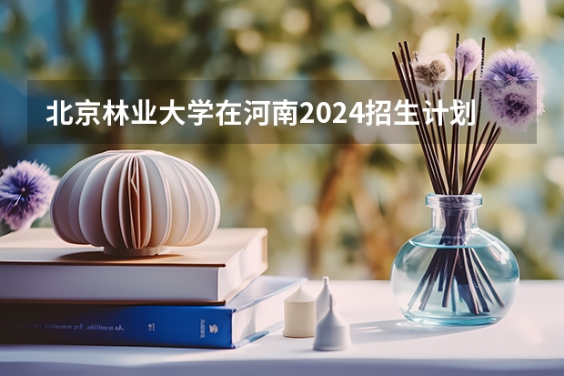 北京林业大学在河南2024招生计划如何