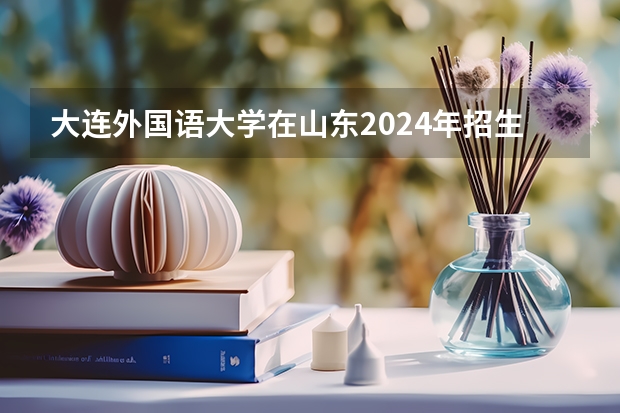大连外国语大学在山东2024年招生计划如何