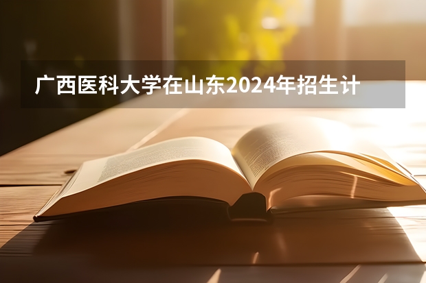 广西医科大学在山东2024年招生计划如何