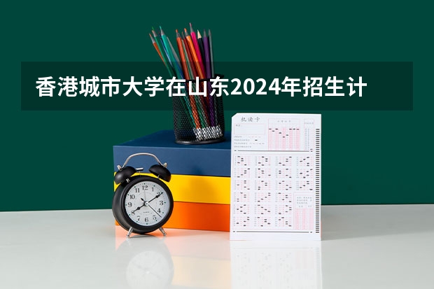 香港城市大学在山东2024年招生计划如何