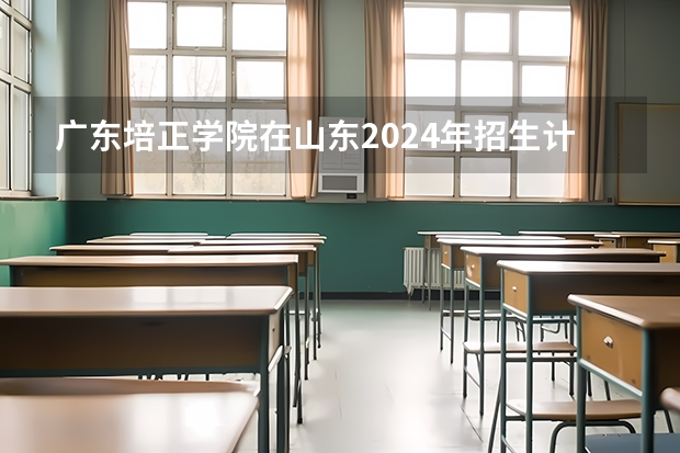 广东培正学院在山东2024年招生计划如何