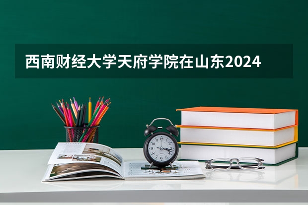西南财经大学天府学院在山东2024年招生计划如何