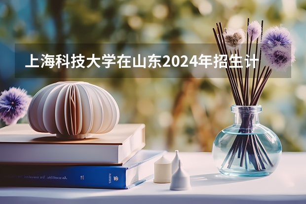 上海科技大学在山东2024年招生计划如何
