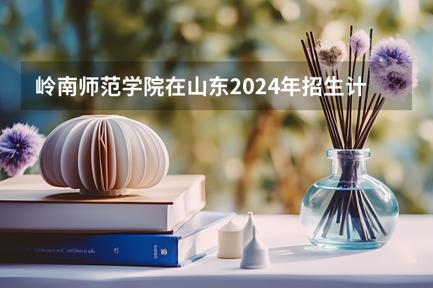 岭南师范学院在山东2024年招生计划如何