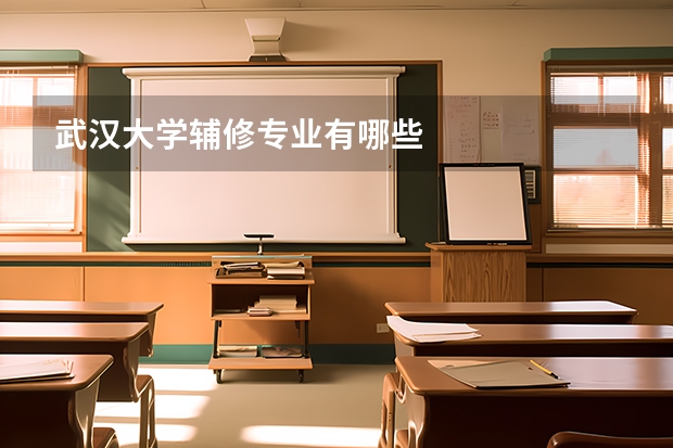 武汉大学辅修专业有哪些