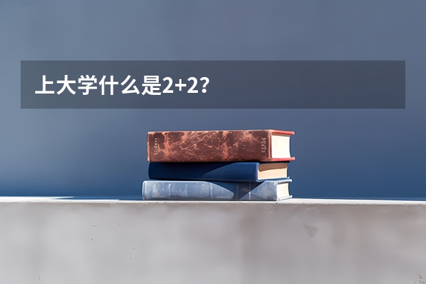 上大学什么是2+2？