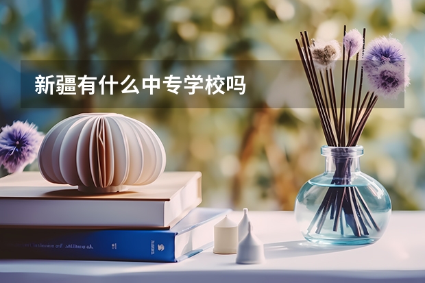 新疆有什么中专学校吗
