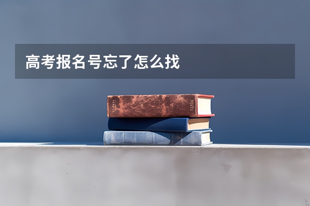 高考报名号忘了怎么找