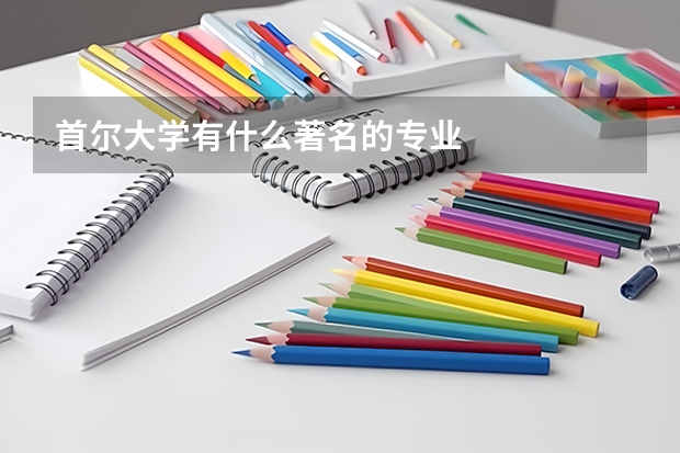 首尔大学有什么著名的专业