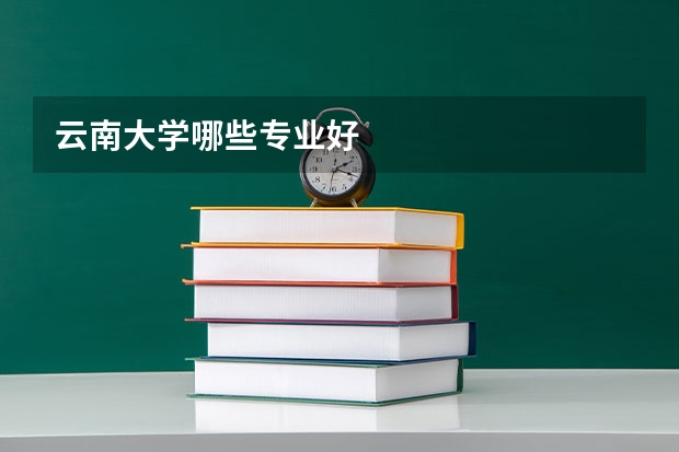 云南大学哪些专业好