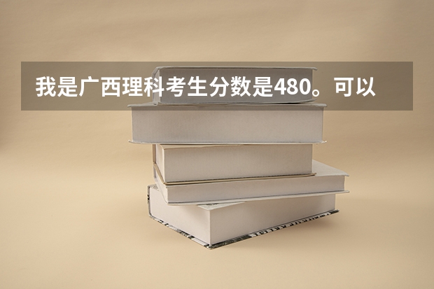 我是广西理科考生分数是480。可以上鲁东大学吗？