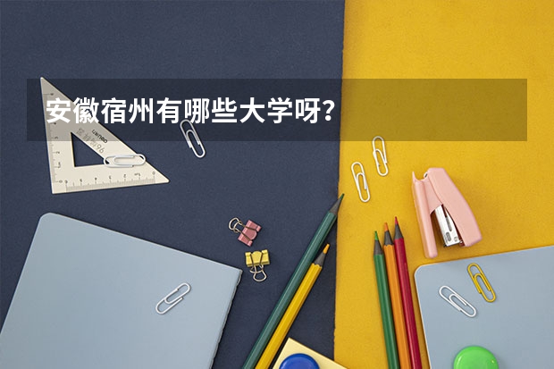 安徽宿州有哪些大学呀？