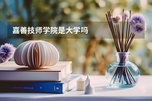 嘉善技师学院是大学吗