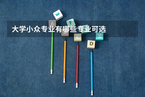 大学小众专业有哪些专业可选