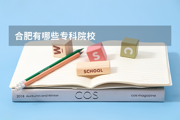 合肥有哪些专科院校