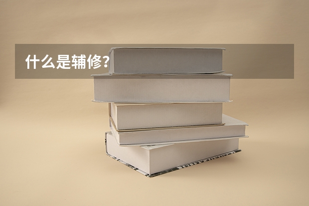 什么是辅修？
