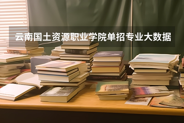 云南国土资源职业学院单招专业大数据与财务管理主要是做什么的