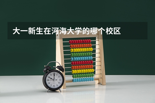 大一新生在河海大学的哪个校区