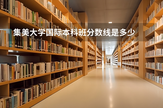 集美大学国际本科班分数线是多少