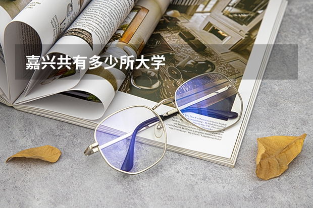 嘉兴共有多少所大学