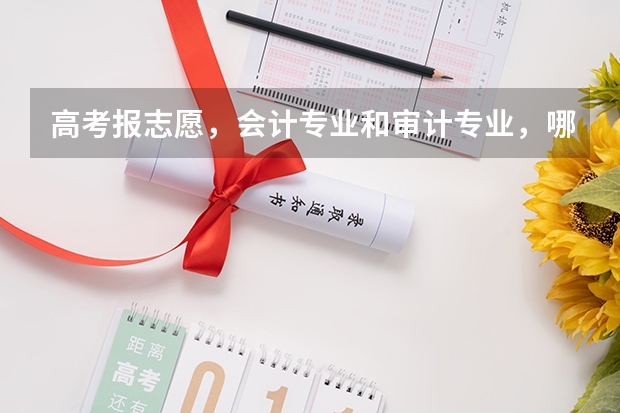 高考报志愿，会计专业和审计专业，哪个更好一点