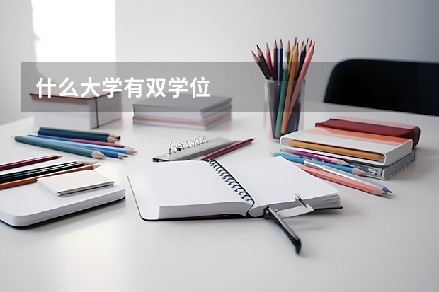 什么大学有双学位