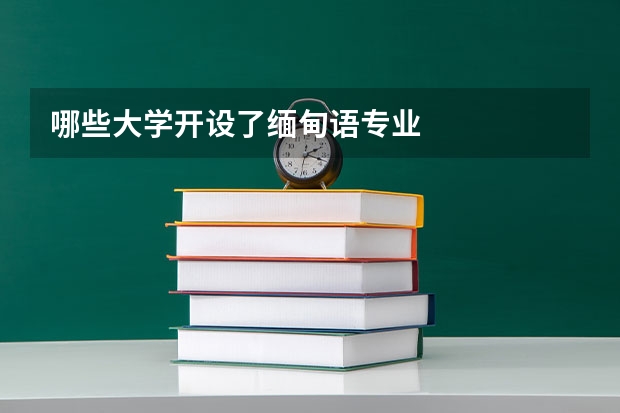 哪些大学开设了缅甸语专业
