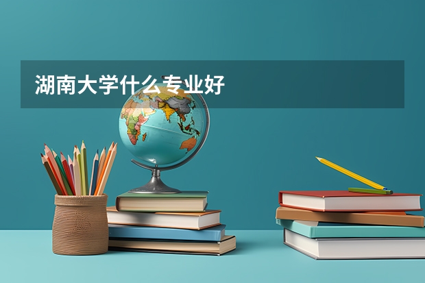 湖南大学什么专业好