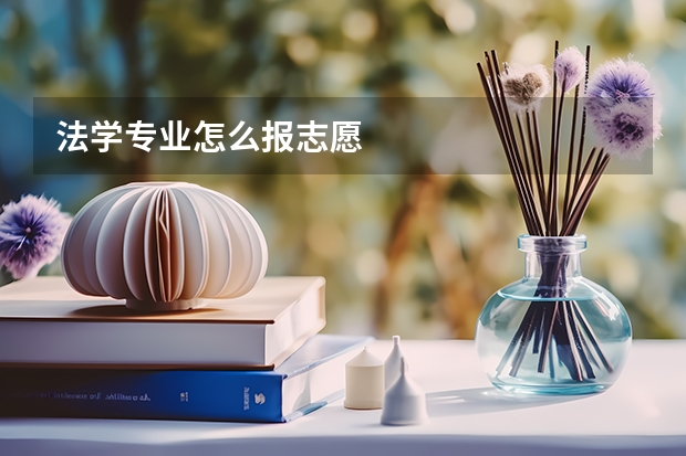 法学专业怎么报志愿