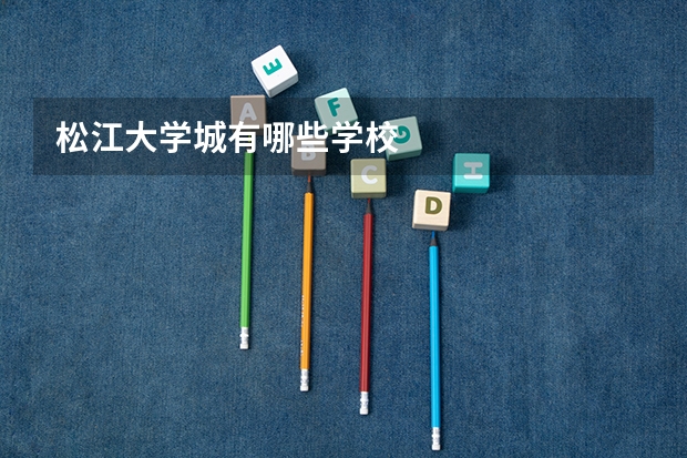 松江大学城有哪些学校